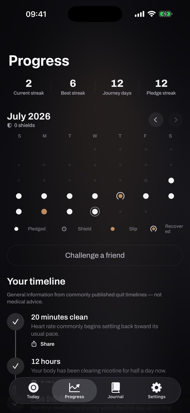 Air Calendar with pledged days, shields and recovered slips